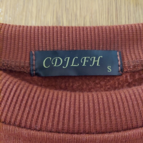 Rust colored sweat shirt with embroidered mushroom 🍄 - Picture 3 of 3